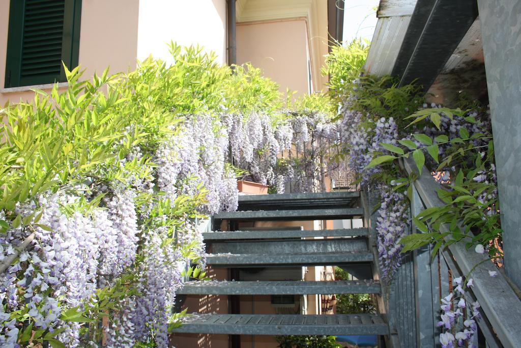Hotel Villa Grazia Cesenatico Buitenkant foto